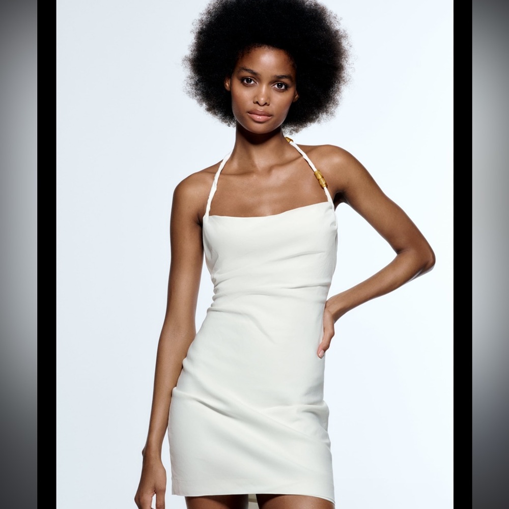 Zara dress